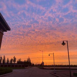 欧美乱伦性爱网站
